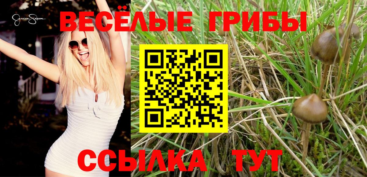 Березники  Галлюциногенные грибы мухоморы  Вход с VPN  Галлюциногенные грибы Psilocybine cubensis 