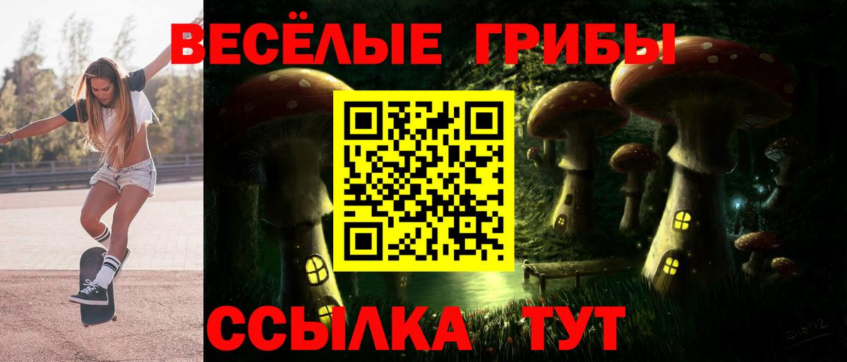 Галлюциногенные грибы MAGIC MUSHROOMS Березники